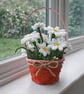Handmade Daisy Basket –Rustic White Flowers, Allergy-Free Mother’s Day & Easter