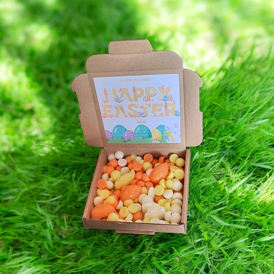 Handmade Easter Wax Melt scoopies dots in a box Soy Wax Highly Scented Vegan