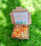Handmade Easter Wax Melt scoopies dots in a box Soy Wax Highly Scented Vegan