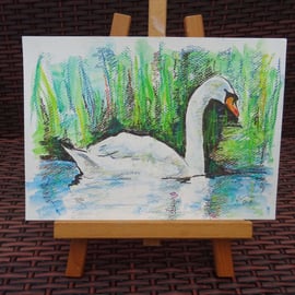 Swan Art Watercolour & Ink Original Animal Painting Bird