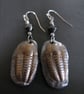 Trilobite Fossil Drop Polymer Clay Earrings, Bronze Pewter Clay Geology Earrings - Image 3