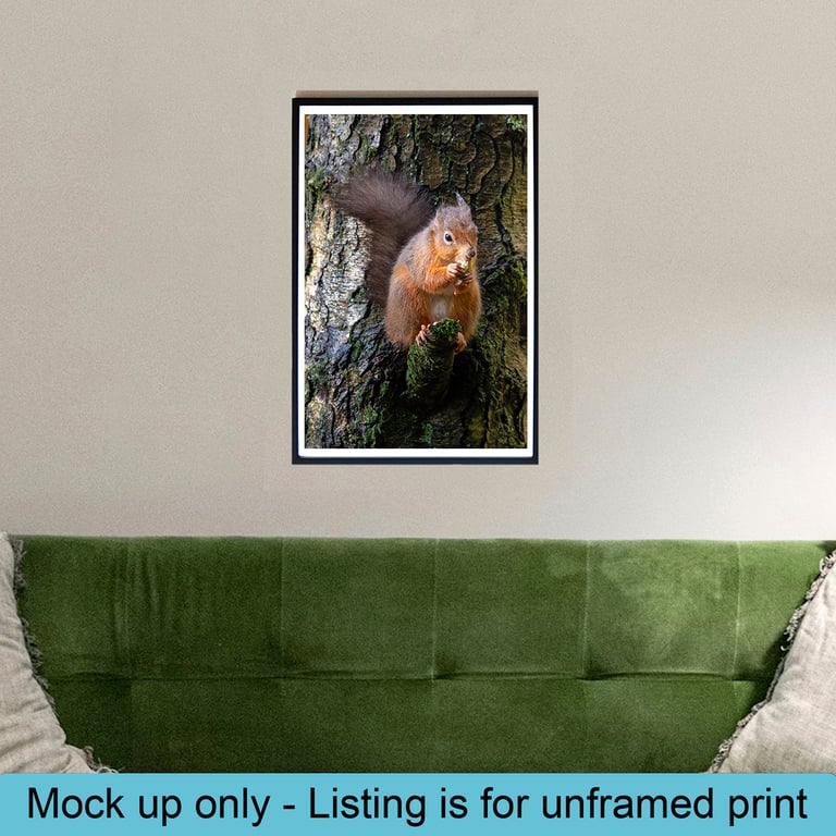 Red squirrel and monkey nut print