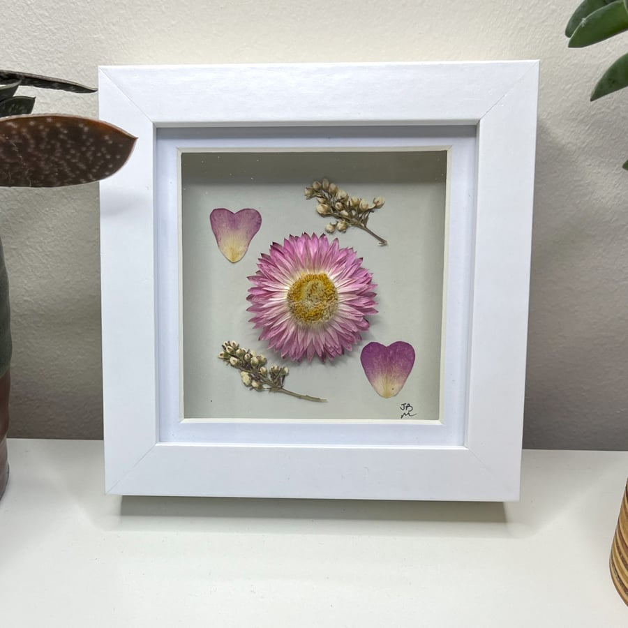 Everlasting Flower Framed Art
