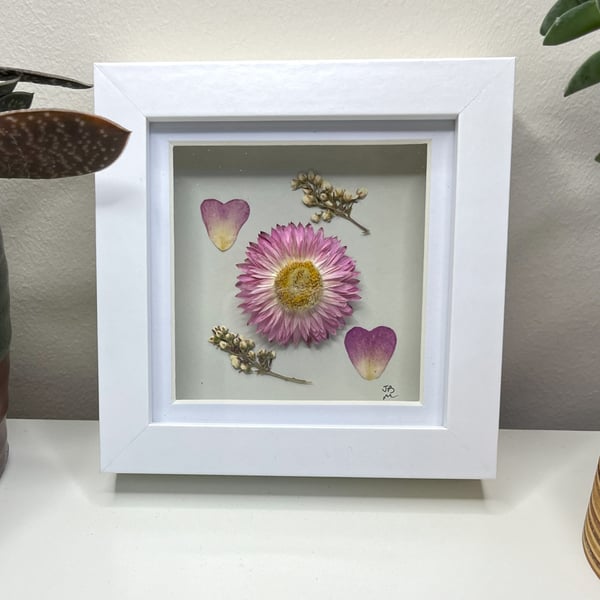 Everlasting Flower Framed Art