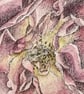 Garden rose painting  - Image 3