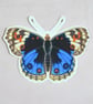 Butterflies Nature Art Stickers - Image 4