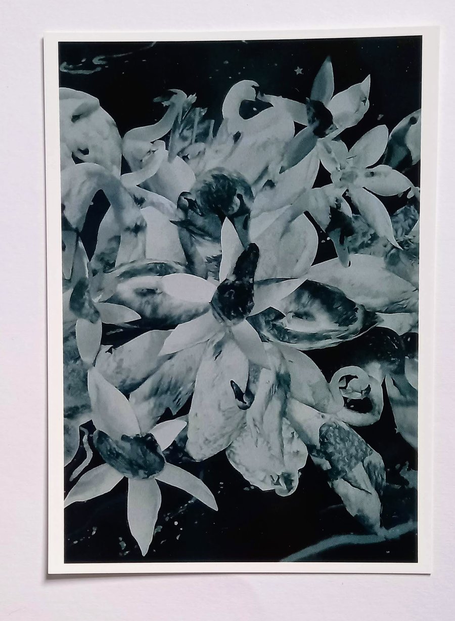Swan Card 'Flowers'  A5 (black & white)