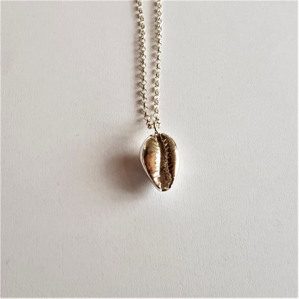 Cowrie Shell, Pendant, Sterling Silver
