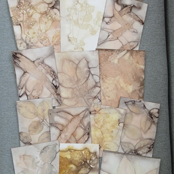 Pack of Eco Printed Papers