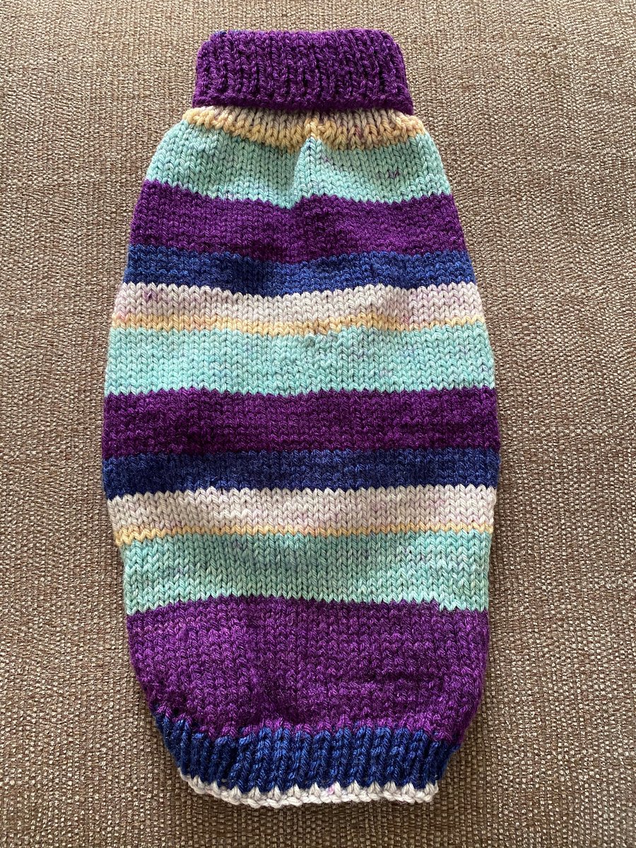 Dog Jumper with a Roll Neck in Stocking Stitch - Medium Size