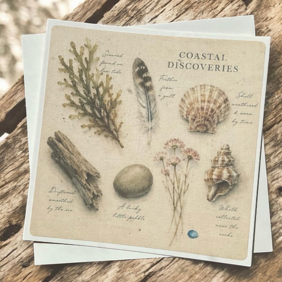 Coastal Discoveries Handmade Greeting Card – Beach Finds Card. Seaside Nature