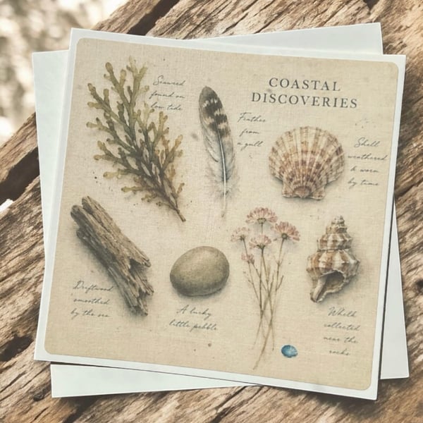 Coastal Discoveries Handmade Greeting Card – Beach Finds Card. Seaside Nature