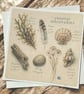 Coastal Discoveries Handmade Greeting Card – Beach Finds Card. Seaside Nature