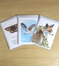 Bird greetings cards, 3 pack, A6 size blank notelets, barn owls and swallow - Image 6