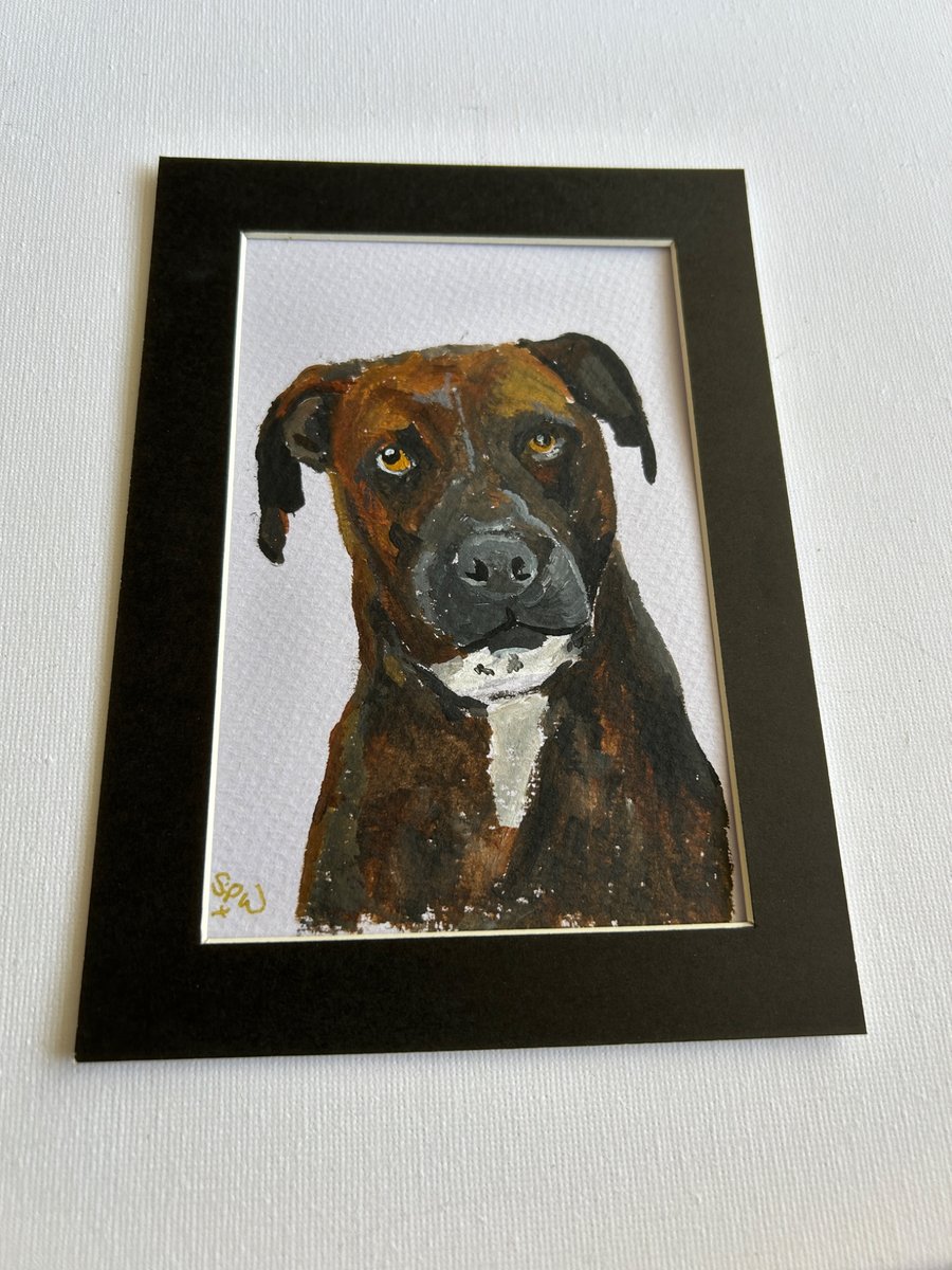 Original painting of gorgeous brindle dog 5x7" 