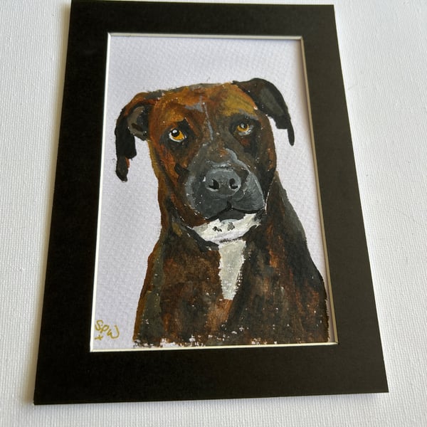 Original painting of gorgeous dog 5x7" 