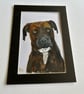 Original painting of gorgeous dog 5x7" 
