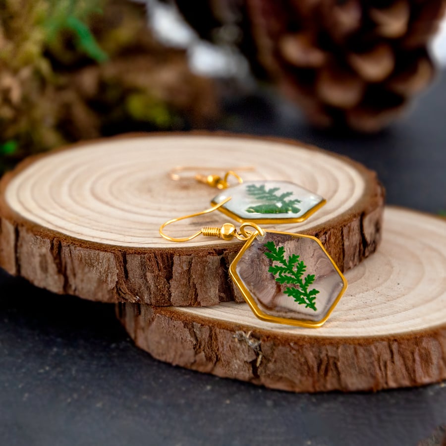 pressed fern dangle earrings in hexagon pendant