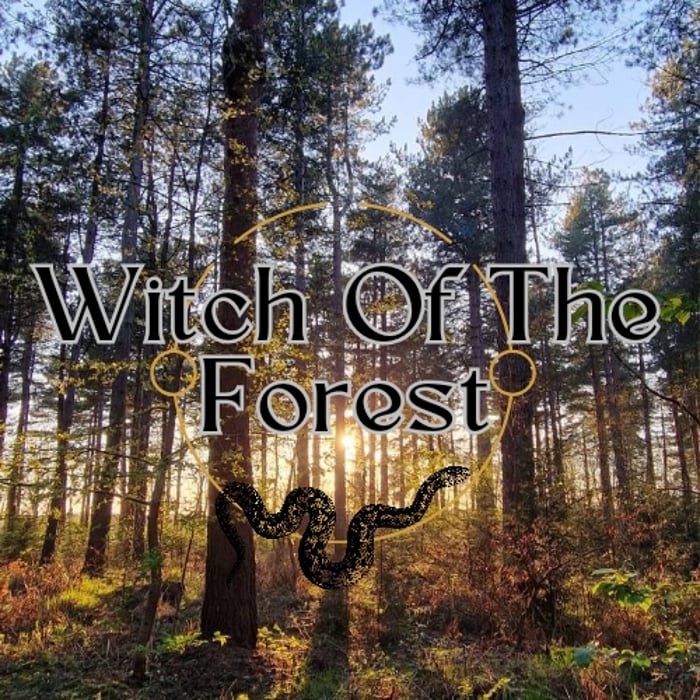 Witch Of The Forest