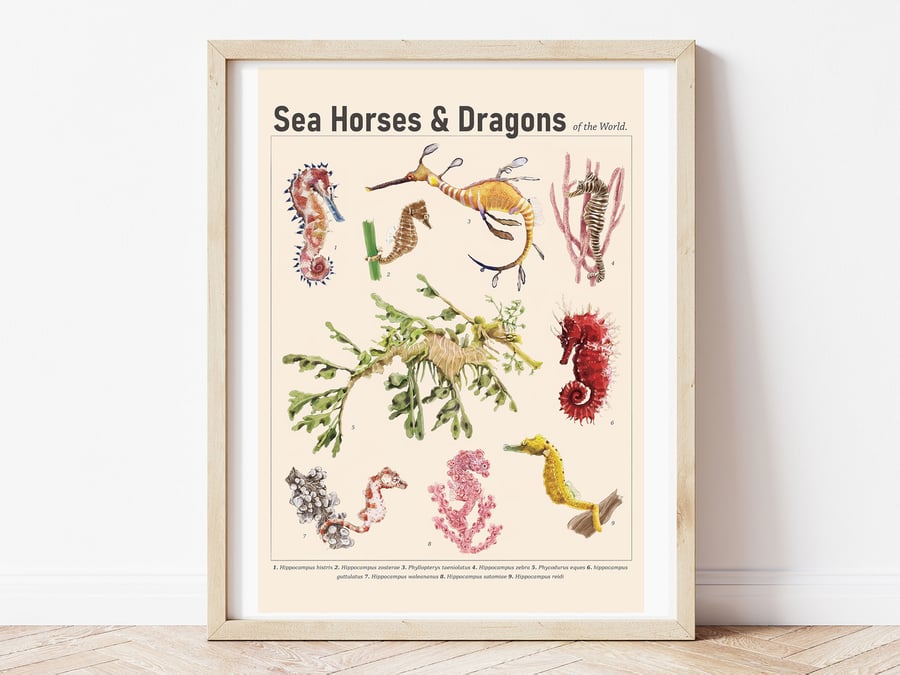 Sea Horses & Sea Dragons Art Print