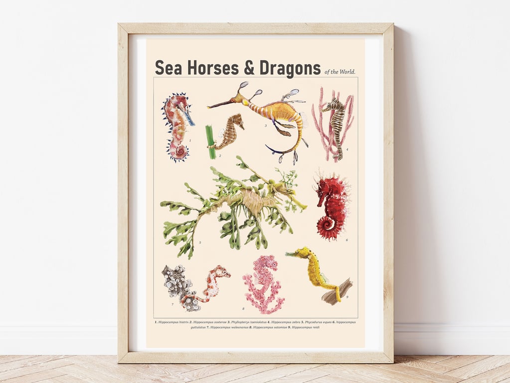 Sea Horses & Sea Dragons Art Print