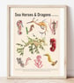 Sea Horses & Sea Dragons Art Print - Image 1
