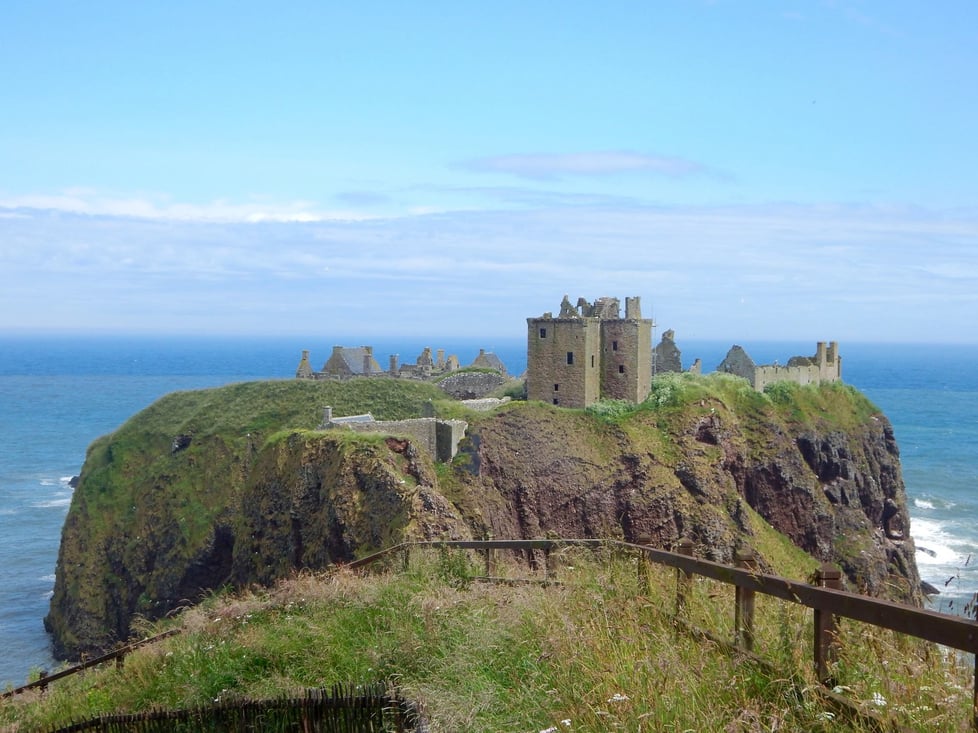 Dragonfly Dreamseeker