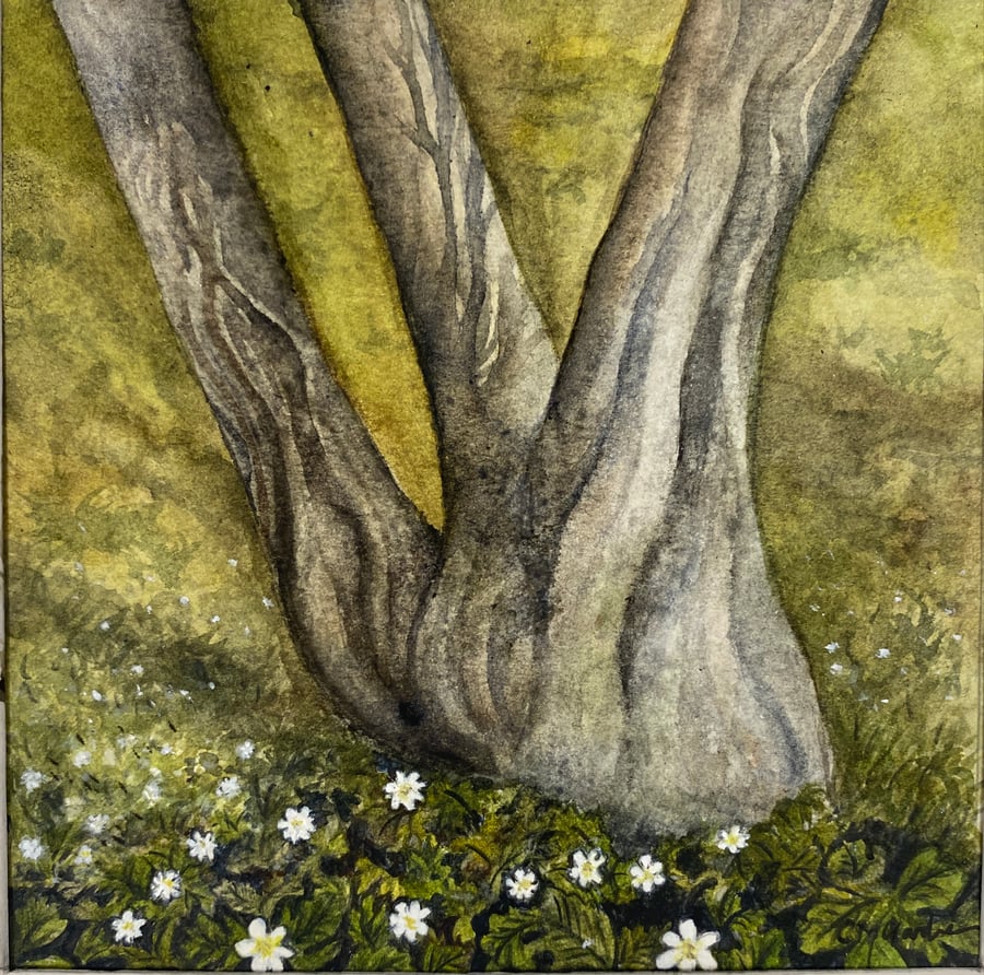 "Woodland Anemones" Fine Art Print in Mount Board 