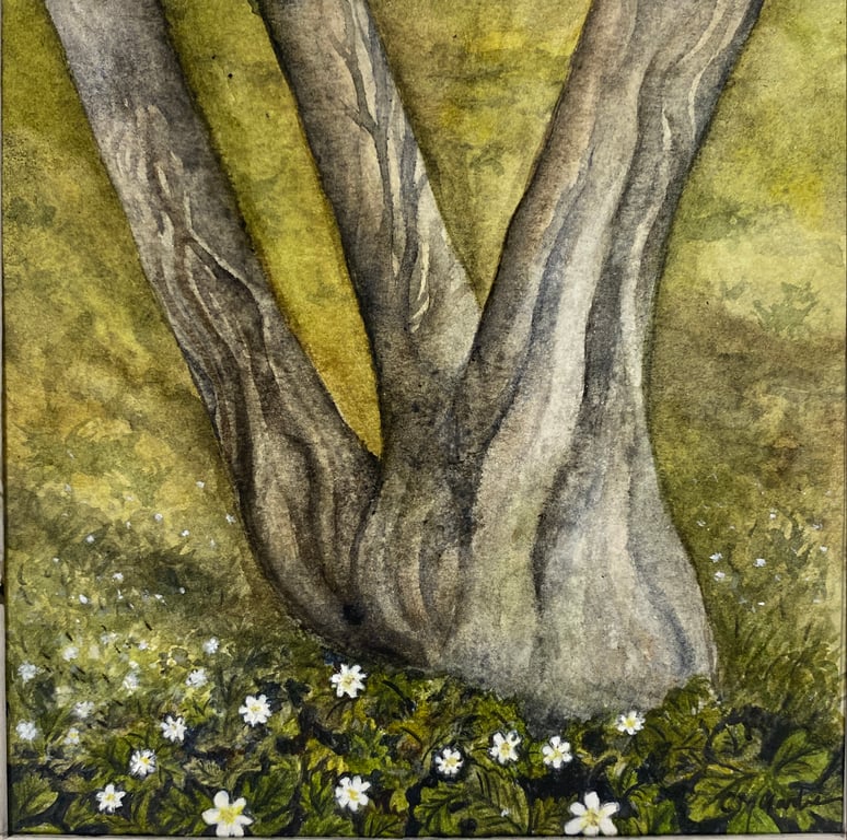 Woodland Anemones Fine Art Print 