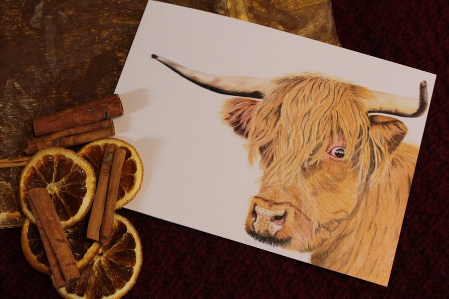 Highland cow card. Perfect as a blank greetings card.