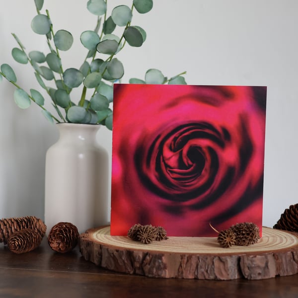 From the Heart - Red Rose - Blank Greetings Card