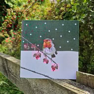 Robin in Snowy Scene, Christmas card, Winter birthday, red berries, frosty, snow