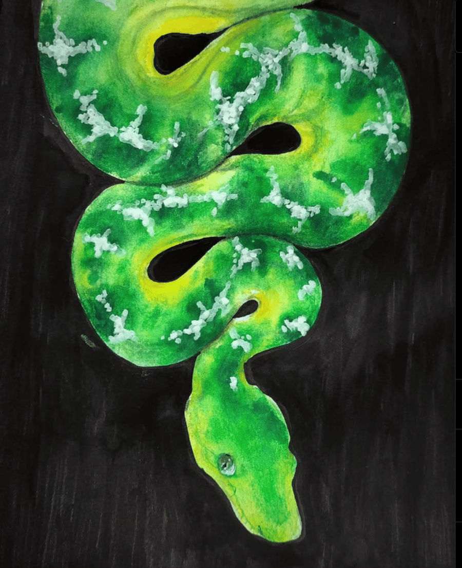 Emerald Boa Watercolour Painting