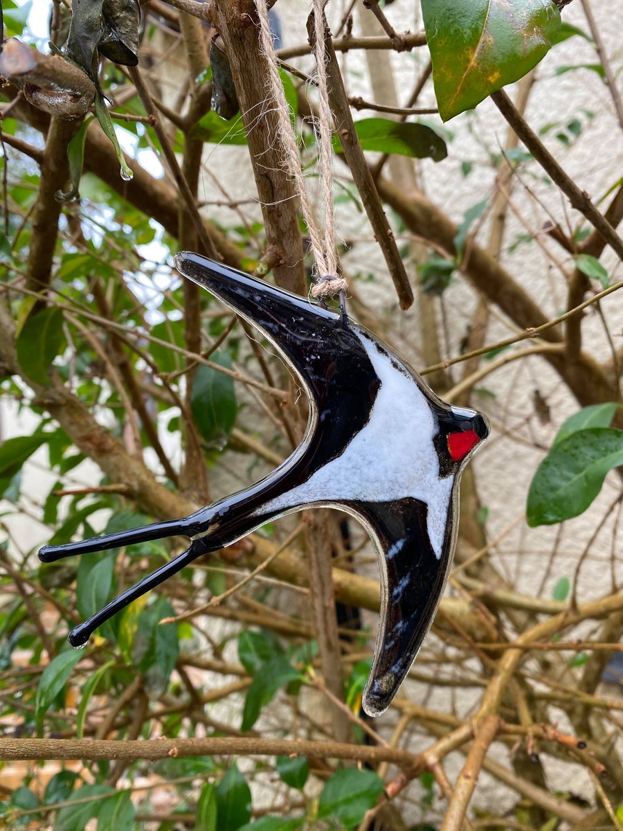 Fused Glass Birds, SWALLOW bird lover gift, British bird, hanging bird