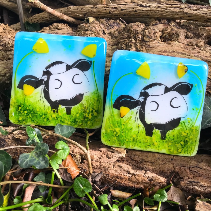 Pair of Glass Cow Coasters