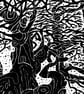 Major Oak, Sherwood Forest - Image 2