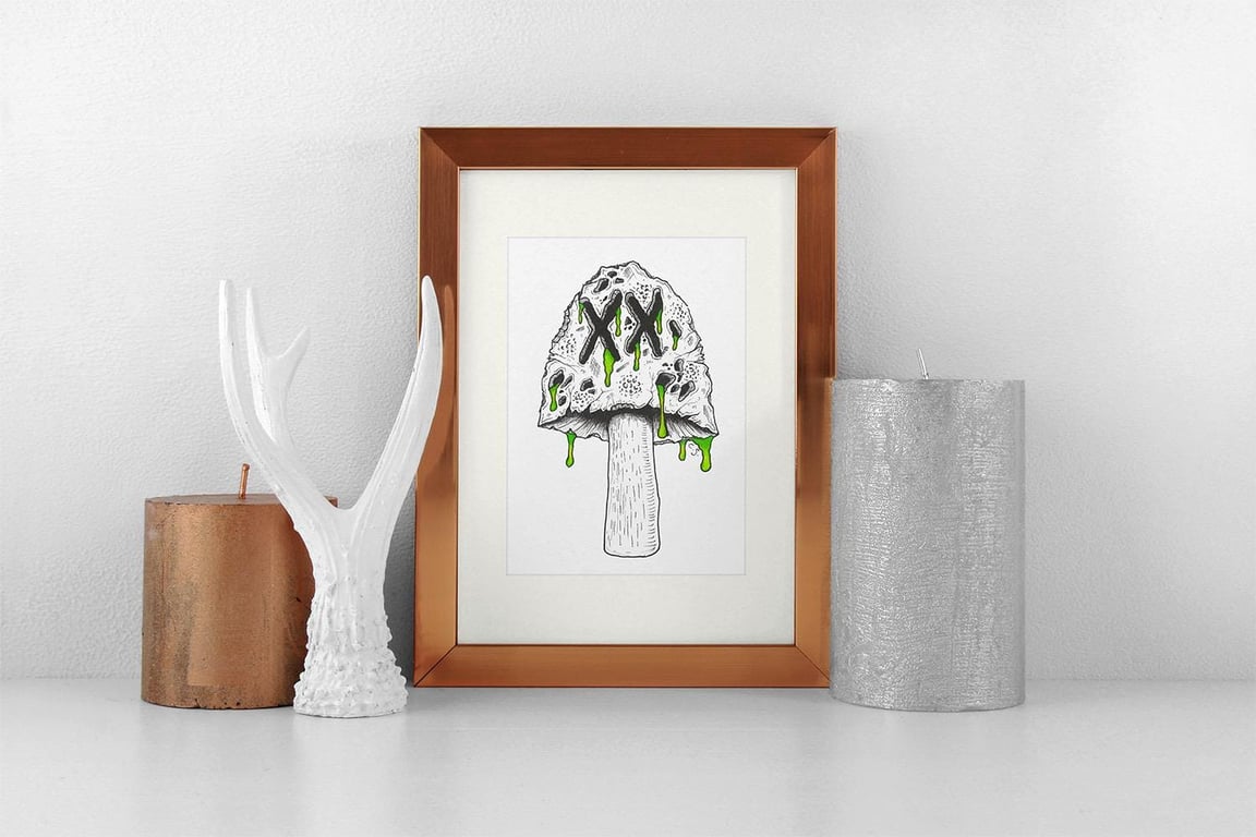 A5 Colour Print - Handrawn Illustration of the Toxic Mushroom.