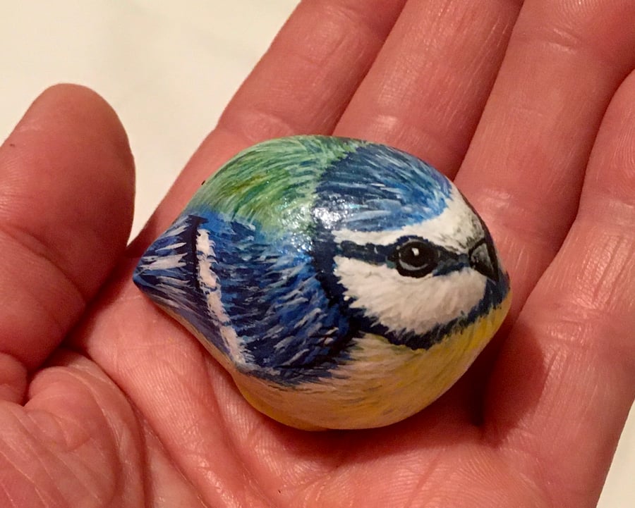 Bluetit bird painted pebble garden rock art wildlife portrait 