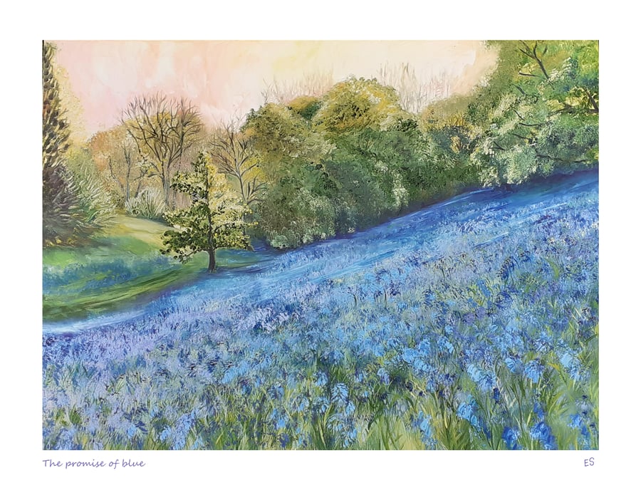 Bluebell landscape