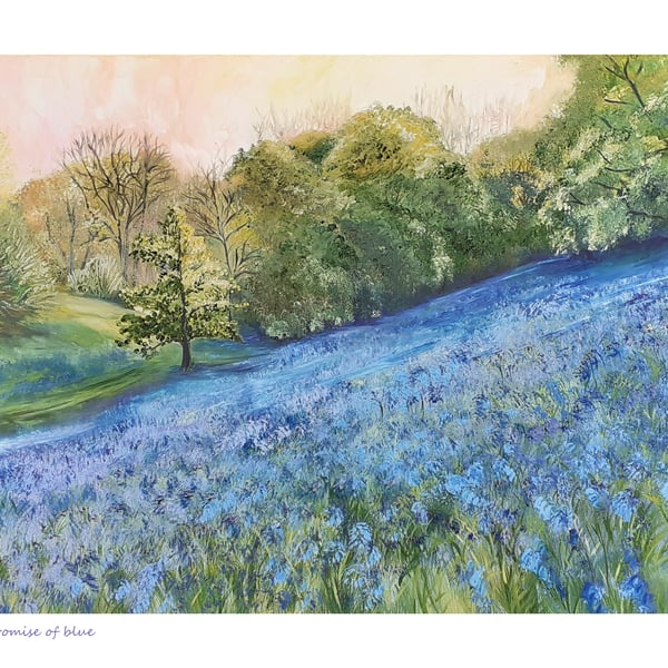 Bluebell landscape