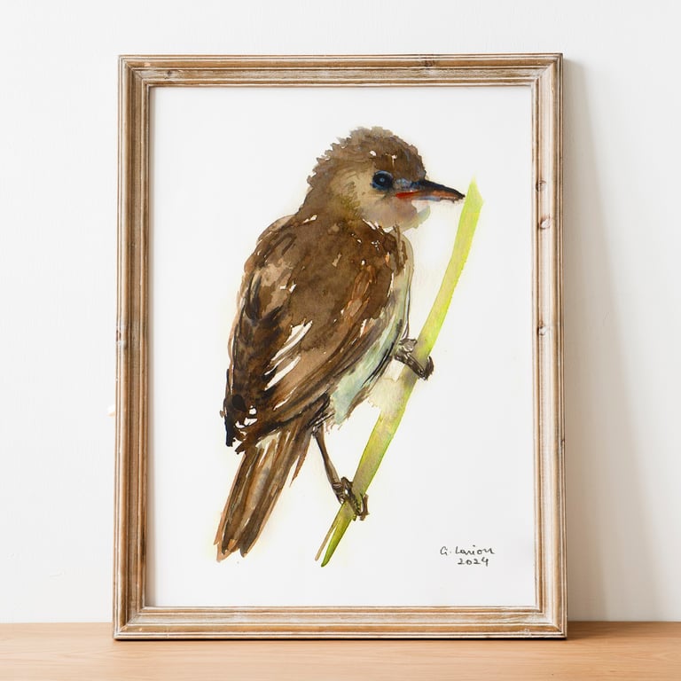 Marsh Warbler A5 Inkjet Print