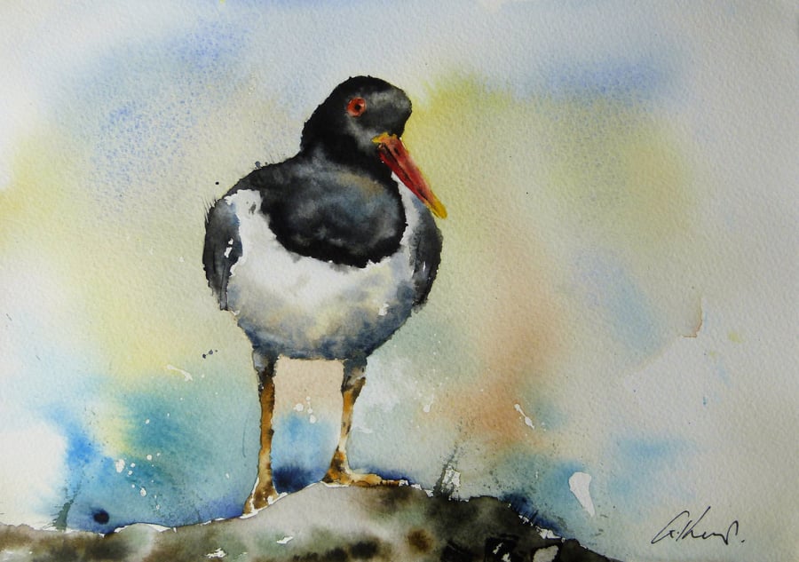 Oystercatcher, Original Watercolour Painting.