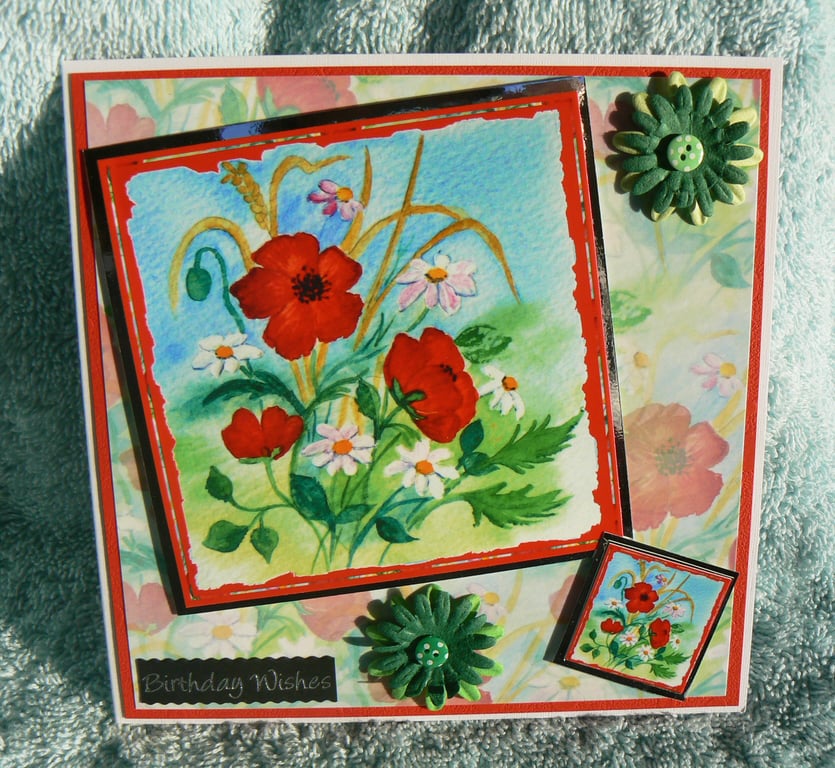 Summer Poppy Field (BW296)