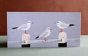 Bird cards