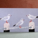 Blank Fine Art Card with Envelope