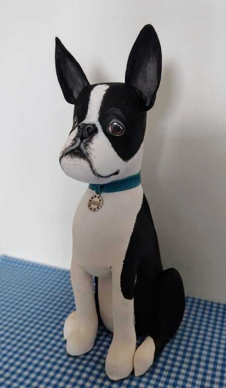 Boston Terrier 