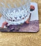 Custom photo gift - personalised coaster - pet owner gift - keepsake. - Image 3