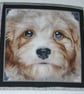  Terrier Puppy Portrait cushion - Image 2