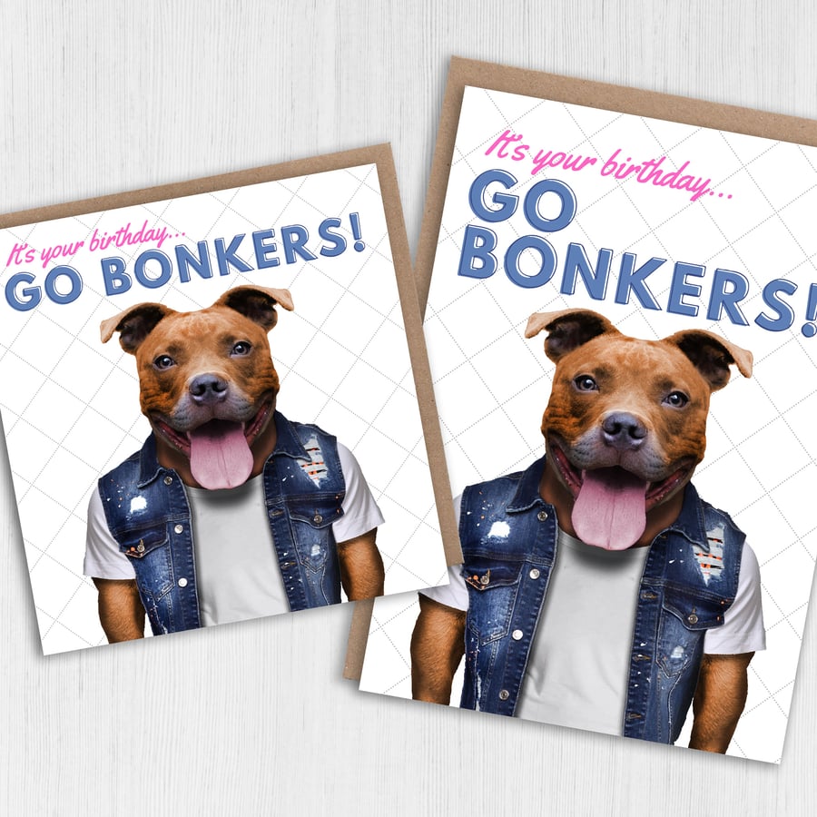 Staffy dog birthday card: Go bonkers