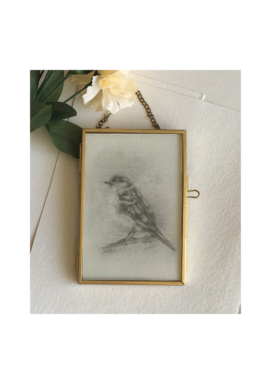 framed graphite drawing of a small sparrow